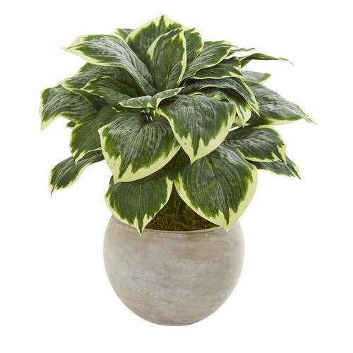 26 Variegated Hosta Artificial Plant In Sand Colored Bowl 8570 By Nearly Natural
