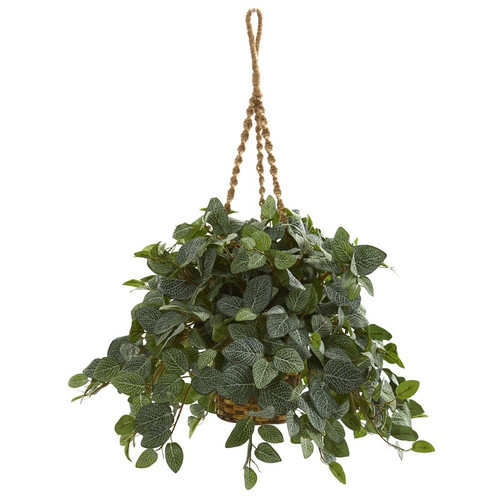 34 Fittonia Artifical Plant In Hanging Basket 8586 By Nearly Natural