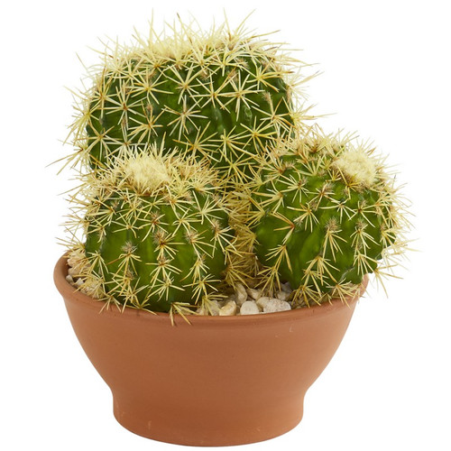 11 Cactus Garden Artificial Plant In Decorative Planter 8719 By Nearly Natural