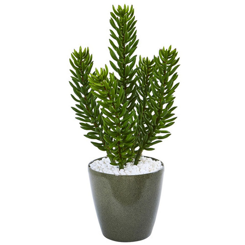 25 Succulent Artificial Plant In Green Planter 8756 By Nearly Natural