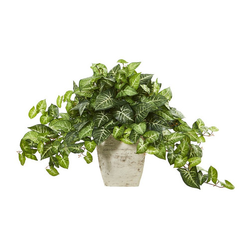 24 Nepthytis Artificial Plant In Country White Planter 8795 By Nearly Natural