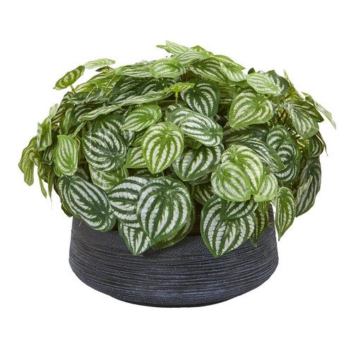 16 Watermelon Peperomia Plant In Bowl Real Touch 8855 By Nearly Natural