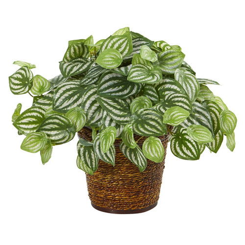 13 Watermelon Peperomia Plant In Basket Real Touch 8856 By Nearly Natural