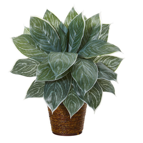 18 Silver Aglonema Artificial Plant In Basket Real Touch 8880 By Nearly Natural