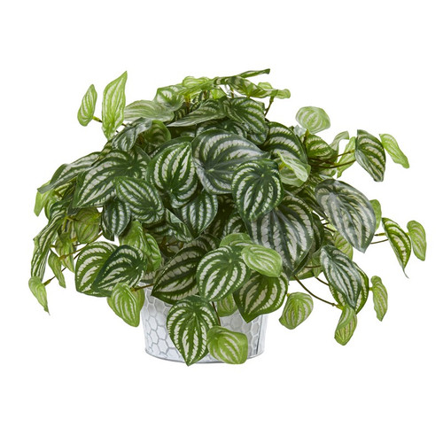 13 Watermelon Peperomia Plant In White Planter Real Touch 8941 By Nearly Natural