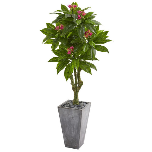 5 5 Plumeria Tree In Gray Planter Uv Resit Indoor Outdoor 9053 By Nearly Natural
