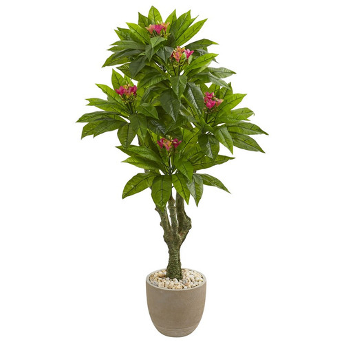 5 Plumeria Tree In Decorative Planter Uv Resistant 9054 By Nearly Natural