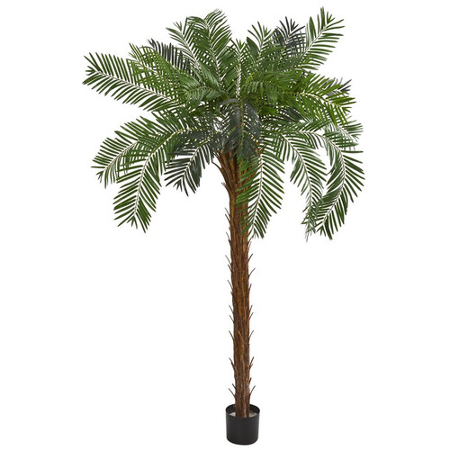 7 Cycas Palm Artificial Tree 9164 By Nearly Natural