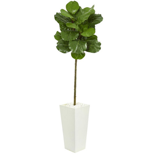 5 5 Fiddle Leaf Artificial Tree In White Tower Planter 9215 By Nearly Natural