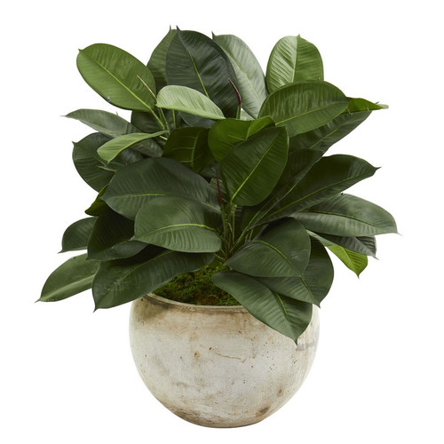 26 Artificial Rubber Plant In Stone Planter 9244 By Nearly Natural