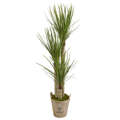 5 Yucca Artificial Tree In Farmhouse Planterr 9306 By Nearly Natural