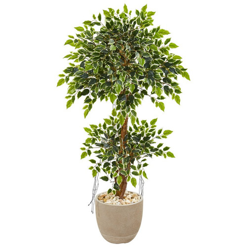 55 Variegated Ficus Artificial Tree In Sandstone Planter 9391 By Nearly Natural