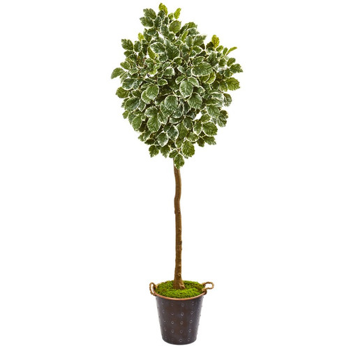 77 Variegated Aralia Artificial Tree In Metal Planter 9563 By Nearly Natural