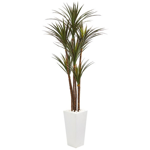 6 5 Giant Yucca Tree In White Planter Uv Rest Indr Outdr 9647 By Nearly Natural
