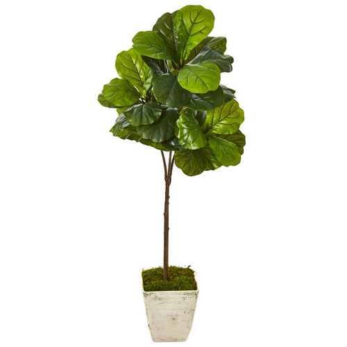 5 Fiddle Leaf Tree In Country White Planter Real Touch 9680 By Nearly Natural