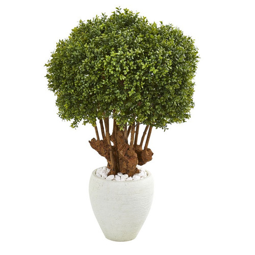 41 Boxwood Topiary Tree In White Planter Indoor Outdoor 9733 By Nearly Natural