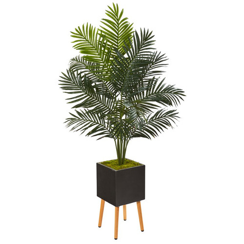 65 Paradise Palm Tree In Black Planter With Stand 9841 By Nearly Natural