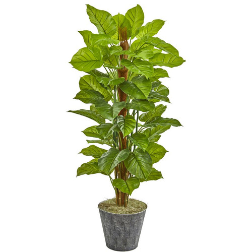 58 Philodendron Plant In Black Planter Real Touch 9876 By Nearly Natural
