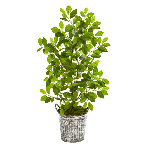 37 Mini Ficus Tree In White Washed Vintage Metal Pail 9921 By Nearly Natural