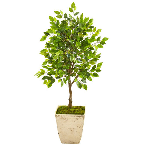 39 Mini Ficus Artificial Tree In Country White Planter 9947 By Nearly Natural