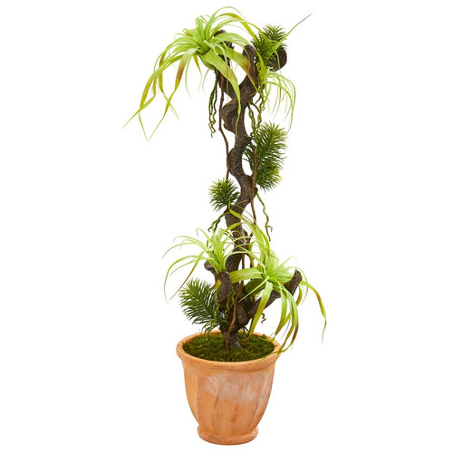 45 Tillandsia Artificial Plant In Terra Cotta Planter 9988 By Nearly Natural