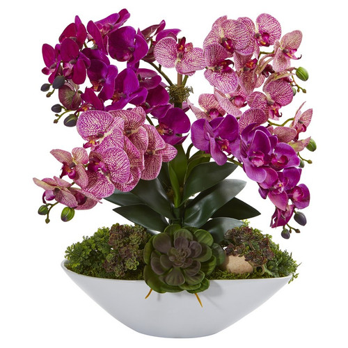 20 Phalaenopsis Orchid And Succulent Arrangement In Vase A1379 By Nearly Natural