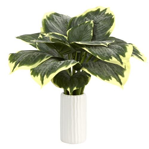 19 Variegated Hosta Artificial Plant In White Planter P1536 By Nearly Natural