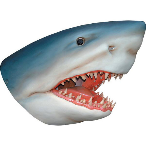 32.25"H Great White Shark Wall Bust Fiberglass Novelty Collectable Décor 10195534 By AFD
