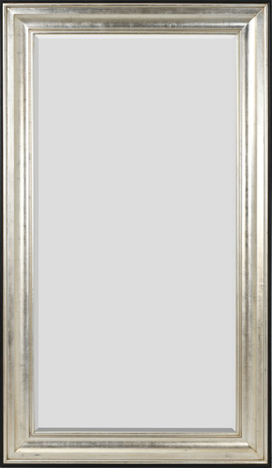 Silver Raven Mirror 36X72Tsb 12017969 By AFD