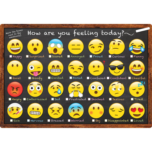 Ashley Smart Poly Chart, 13" X 19", Emotions Icon How Are You Feeling ASH91032