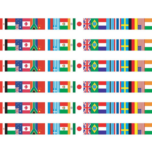 Edupress International Flags Spotlight Border, 36 Per Pack, 6 Packs EP-595-6