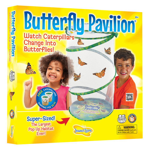 Insect Butterfly Pavilion Growing Kit ILP1885