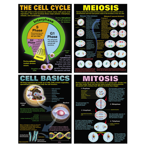 Mcdonald Cells Posters, Set Of 4 MC-P127