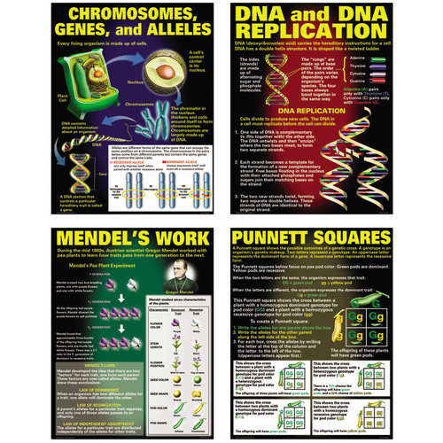 Mcdonald Dna & Heredity Posters, Set Of 4 MC-P128