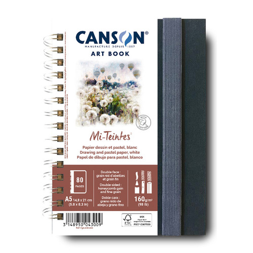 Canson Artist Series Mi-Teintes Pastel & Drawing Art Book, Fabric Cover, Side Wire Binding, 80 Sheet, 5.8X8.3 Inch, 1 Count MCX31200L010