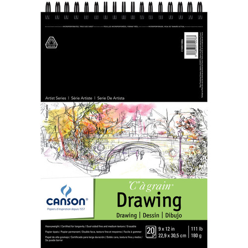 Canson Artist Series C À Grain Drawing Pad, Top Wire Binding, 20 Sheet, 9X12 Inch, 1 Count MCXC100510886
