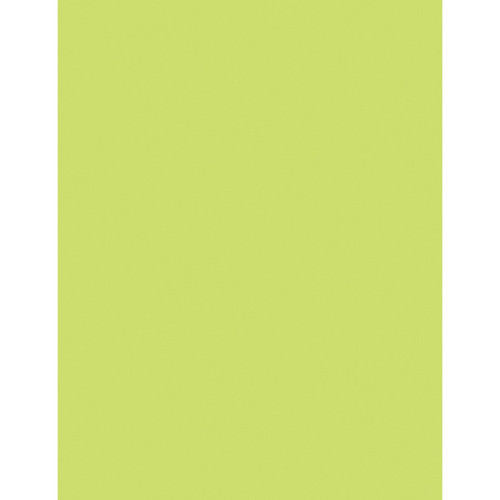 Pacon Multi-Purpose Paper, Lime, 8-1/2" X 11", 500 Sheets PAC102053