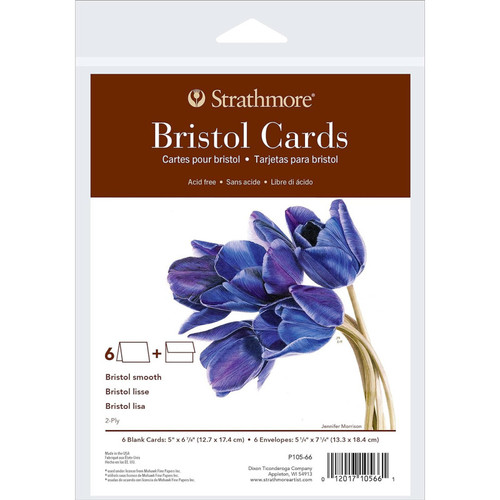 Strathmore 400 Series Bristol Cards & Envelopes, Full Size, 5X6.875 Inch, 6 Pack STTP10566