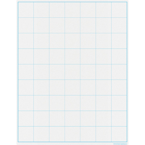 Teacher Graphing Grid Large Squares Write-On/Wipe-Off Chart TCR7116
