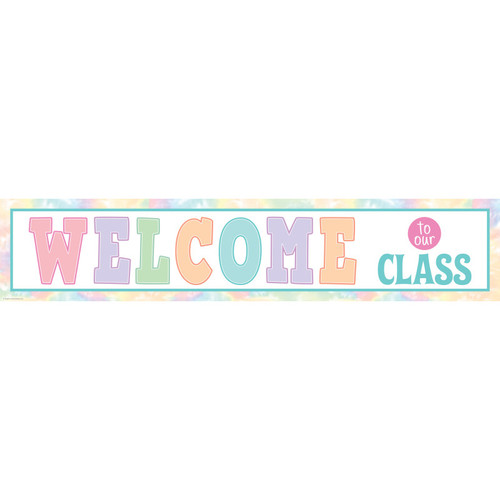 Teacher Pastel Pop Welcome To Our Class Banner TCR8445