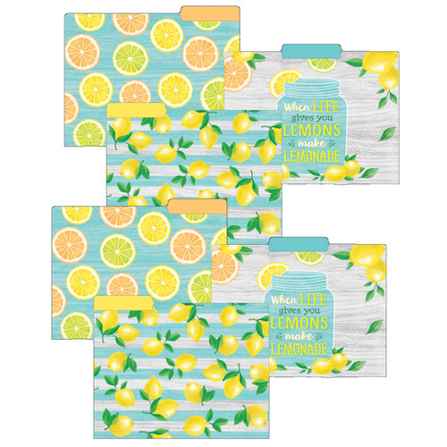 Teacher Lemon Zest Letter-Sized File Folders, 12 Per Pack, 2 Packs TCR8542-2