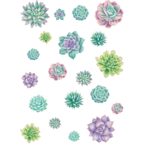 Teacher Rustic Bloom Succulents Accents - Assorted Sizes TCR8590