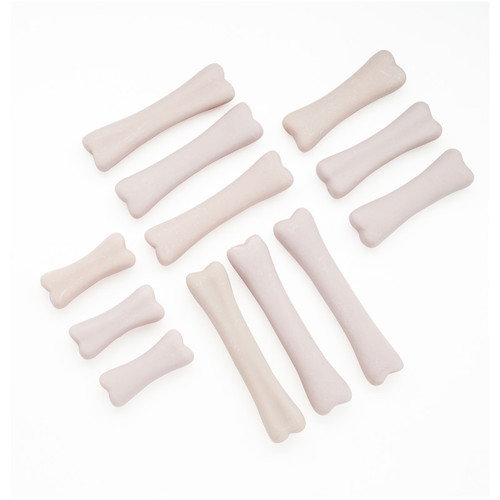 Yellow Dinosaur Bones Discovery Set, Pack Of 12 YUS1038