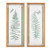 Linden Fern 2Pc Set Framed Wall Decor By Madison Park Mp95G 0256 By Olliix