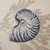Madison Park Bayside Printed Valance -50X18" MP41-3764 By Olliix