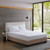 Olliix All Natural Cotton Percale Quilted Mattress Pad Twin Xl Basi16 0594
