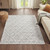 Ashley 100 Polyester Terni Pebble Gray Indoor Area Rug By Madison Park Mp35 7185 By Olliix