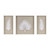 Olliix Sabal Palm Rice Paper Framed Shadow Box 3 Piece Set Mp95B 0294