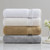 Adana Ultra Soft Turkish Towel CC73-0009 By Olliix