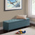 Madison Park Shandra Tufted Top Storage Bench FUR105-0041 By Olliix